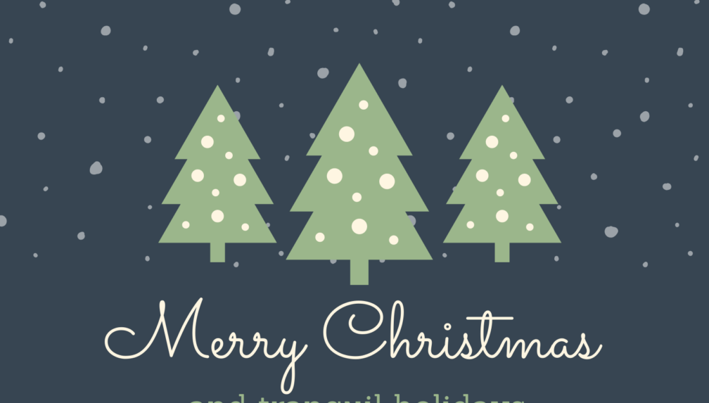 We Wish You A Merry Christmas (fingerstyle)